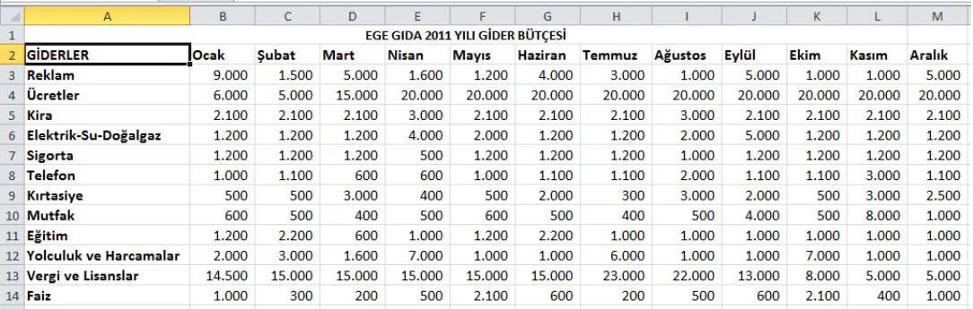 Excel Uygulamaları FOTO: Excel Uygulamaları