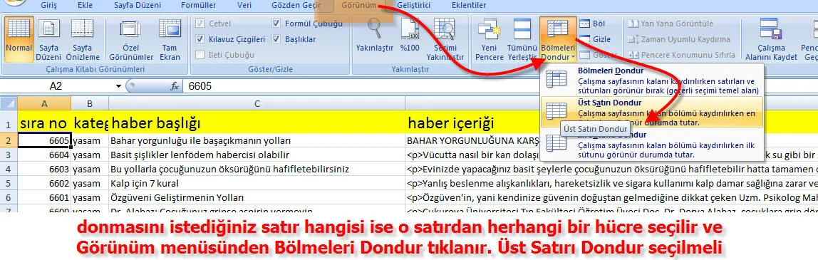 Excelde Satır Sabitleme FOTO: Excelde Satır Sabitleme