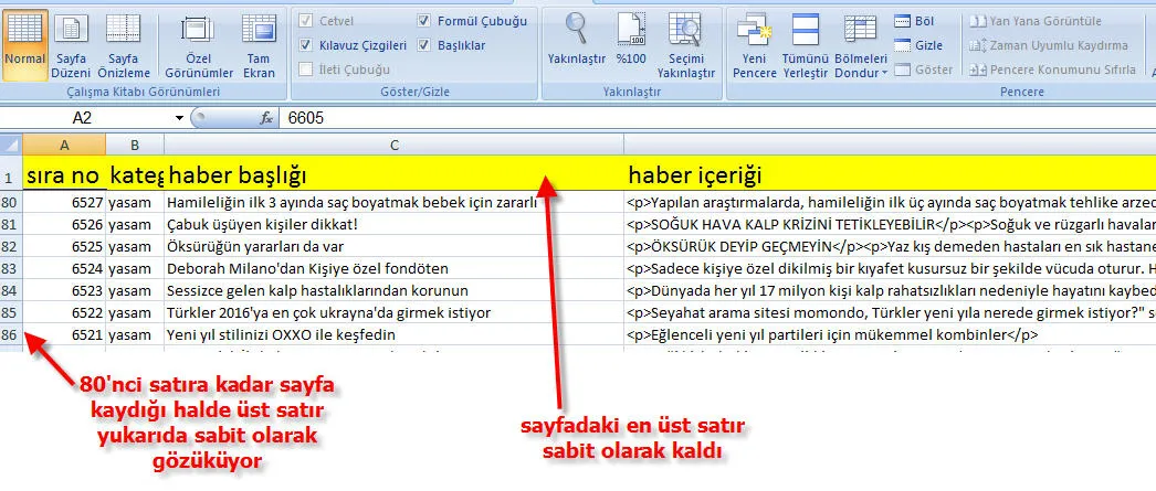 Excelde Satır Sabitleme FOTO: Excelde Satır Sabitleme