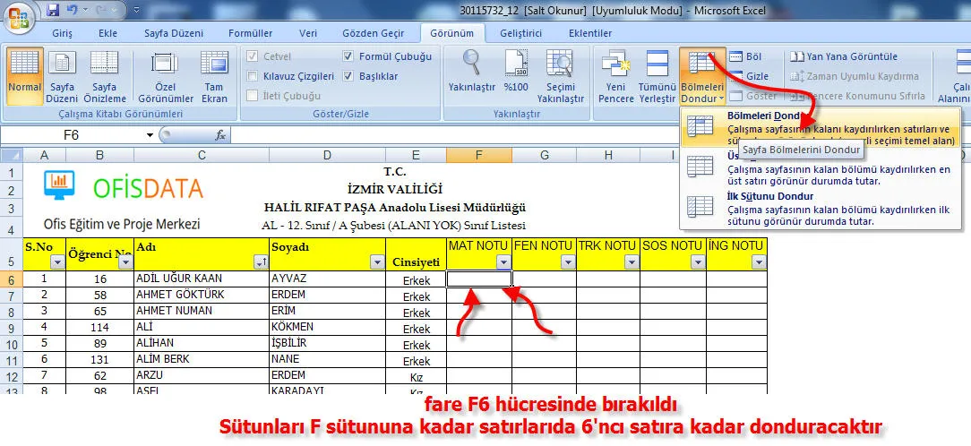 Excelde Satır Sabitleme FOTO: Excelde Satır Sabitleme