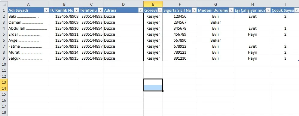 Maaş Bordrosu Excel FOTO: Maaş Bordrosu Excel