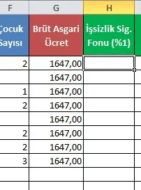 Maaş Bordrosu Excel FOTO: Maaş Bordrosu Excel