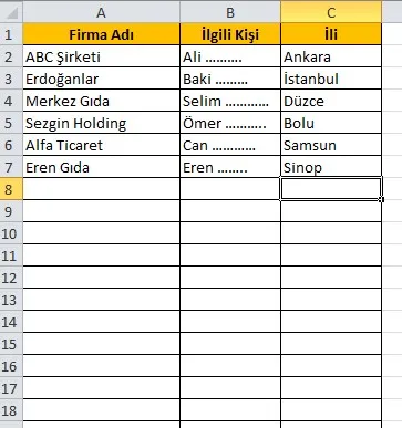 Proforma Fatura Örneği Excel FOTO: Proforma Fatura Örneği Excel