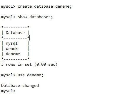 SQL Nedir FOTO: SQL Nedir